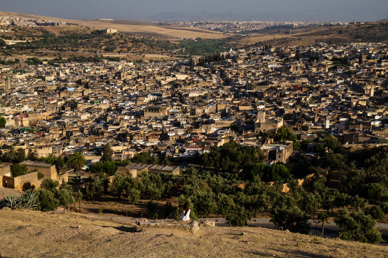 Panorama di Fès dalle Tombe Merinidi - I viaggi di Bibi