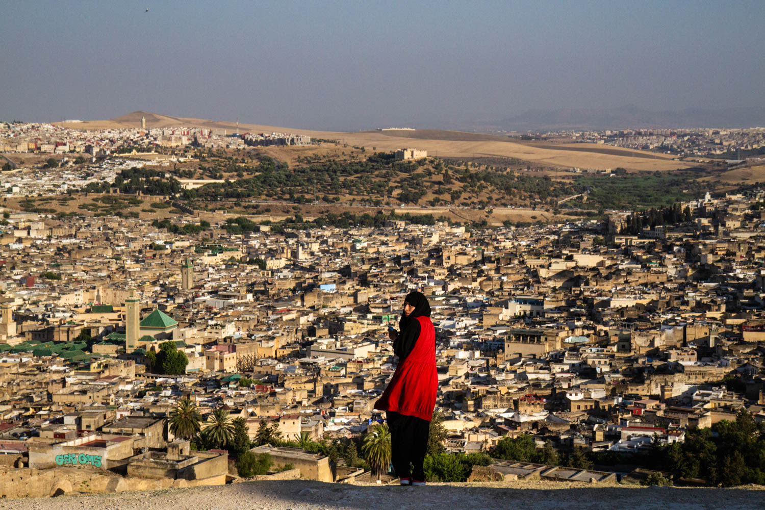 Panorama di Fès con I viaggi di Bibi (foto Ale di Blasio)
