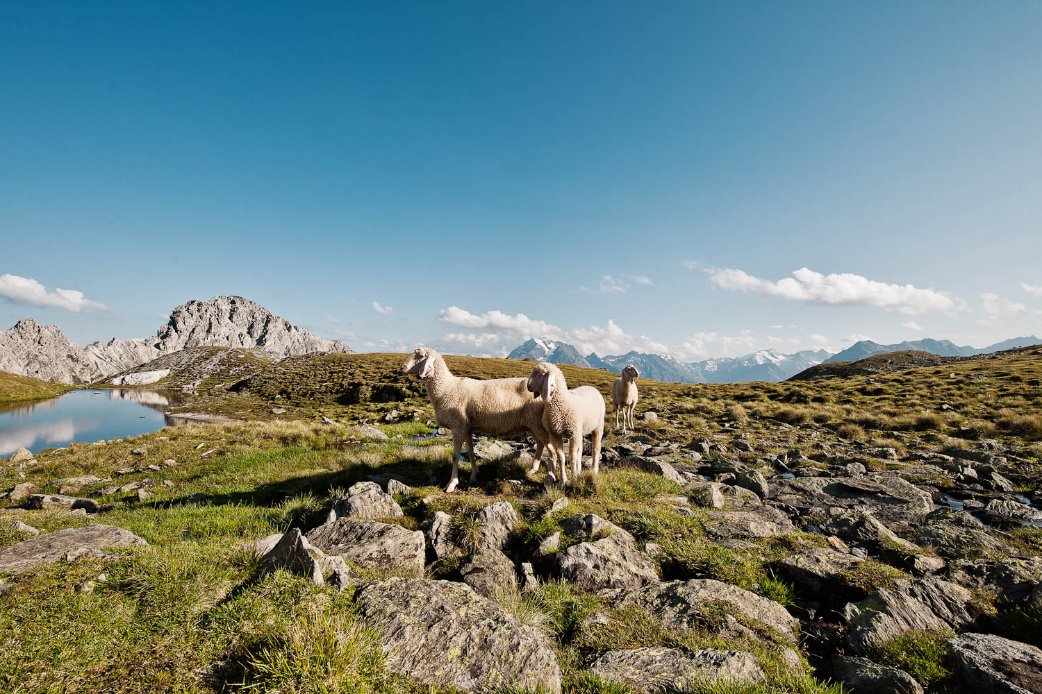 Valle dello Stubai © TVB Stubai Tirol/ Andre Schönherr