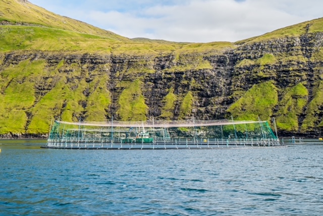 Allevamenti di salmone alle Isole Faroe