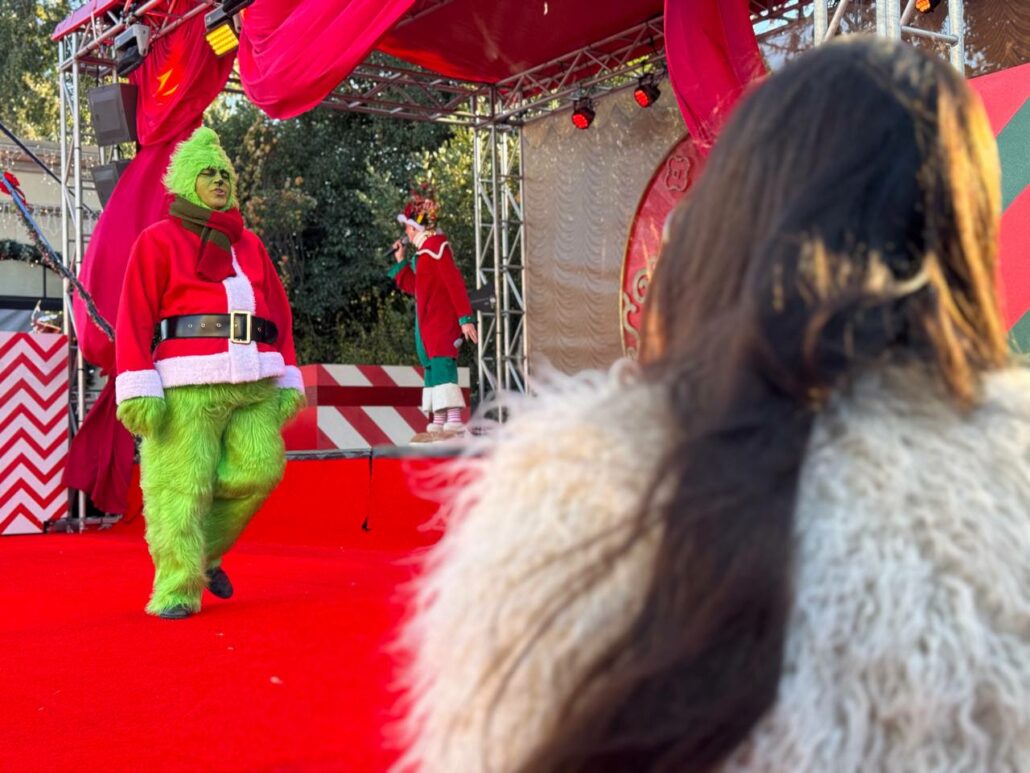 Il Grinch a Christmas world