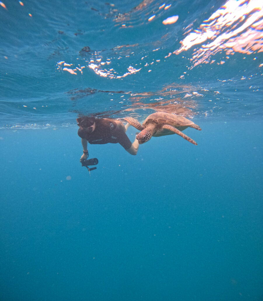 Vacanza a Rarotonga