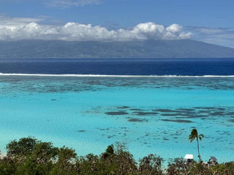 Cosa fare a Moorea